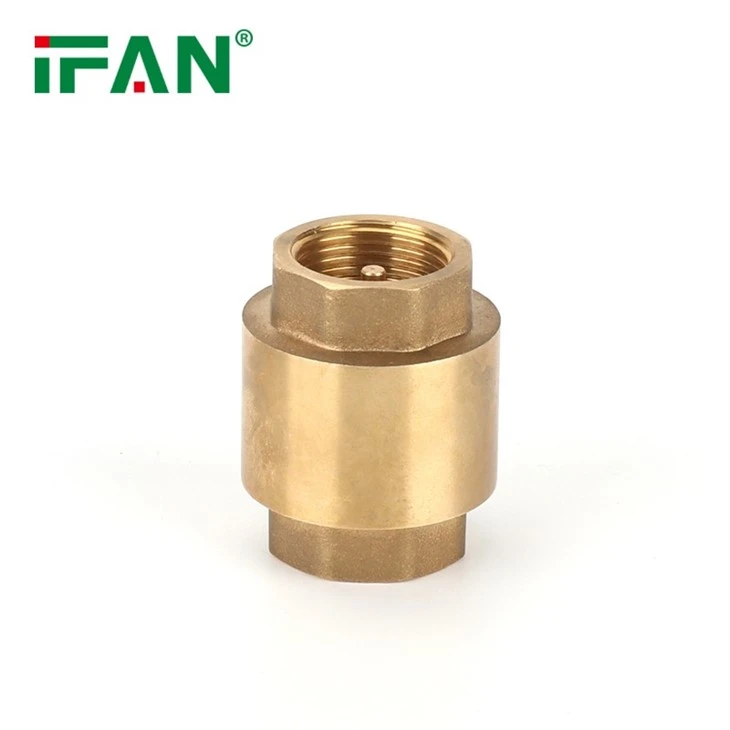 15155 81412Check Valve